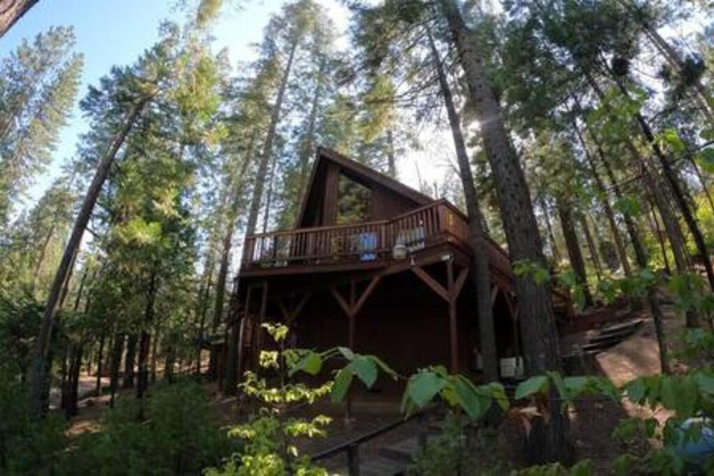 Willa Pinecrest A-Frame Family Fun Near Dodge Ridge Long Barn Zewnętrze zdjęcie
